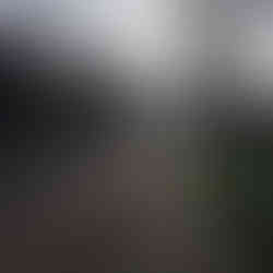 A photo of a charming residential street, with the sun centered at the end of it. The sun, despite it being midday, sits very low on the horizon, casting the world in a low amount of light.