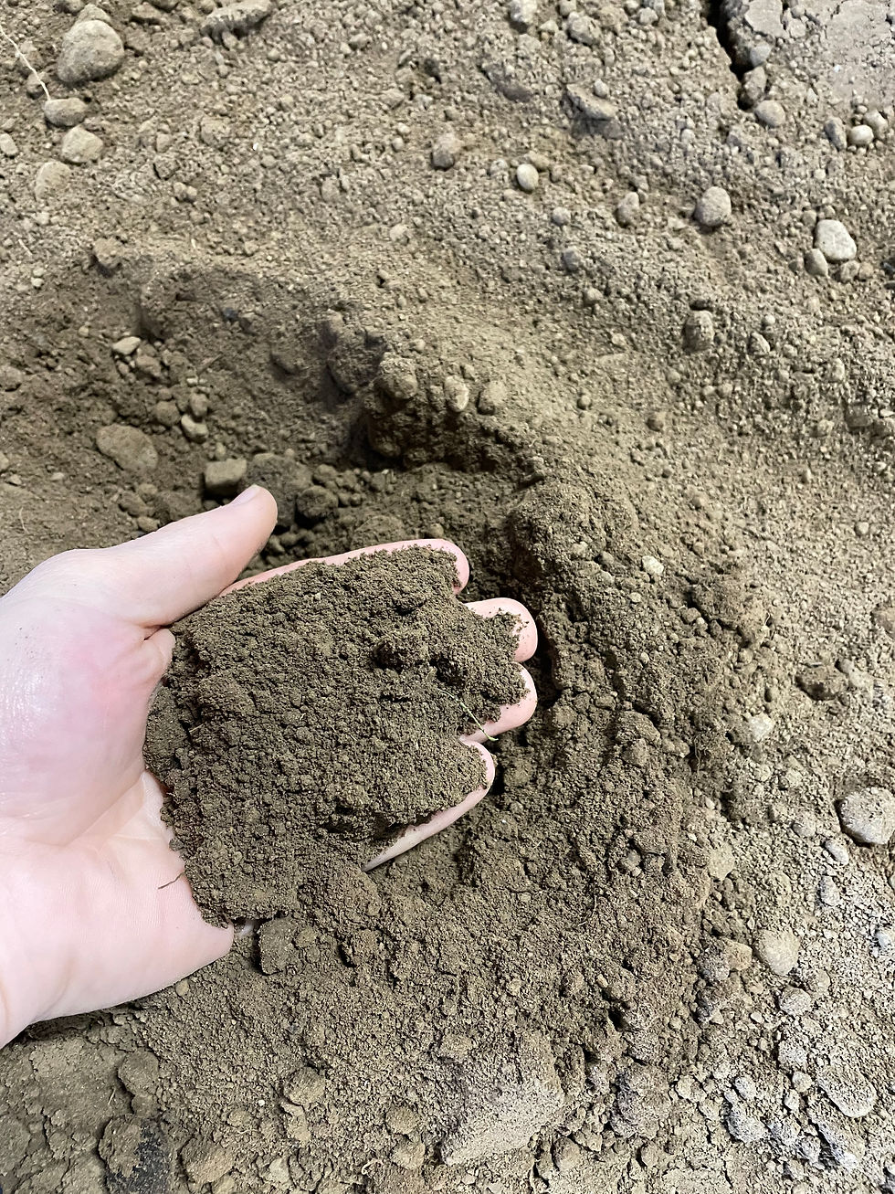 Top Soil