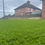 Thumbnail: 40mm Artificial Grass