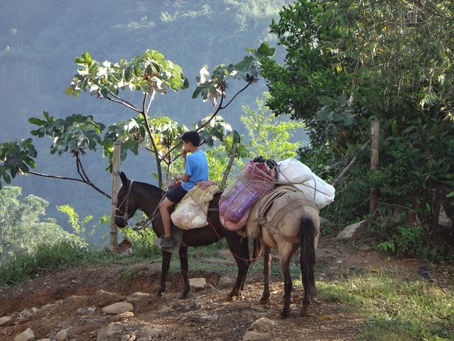 Séjour en Colombie - Novembre 2016