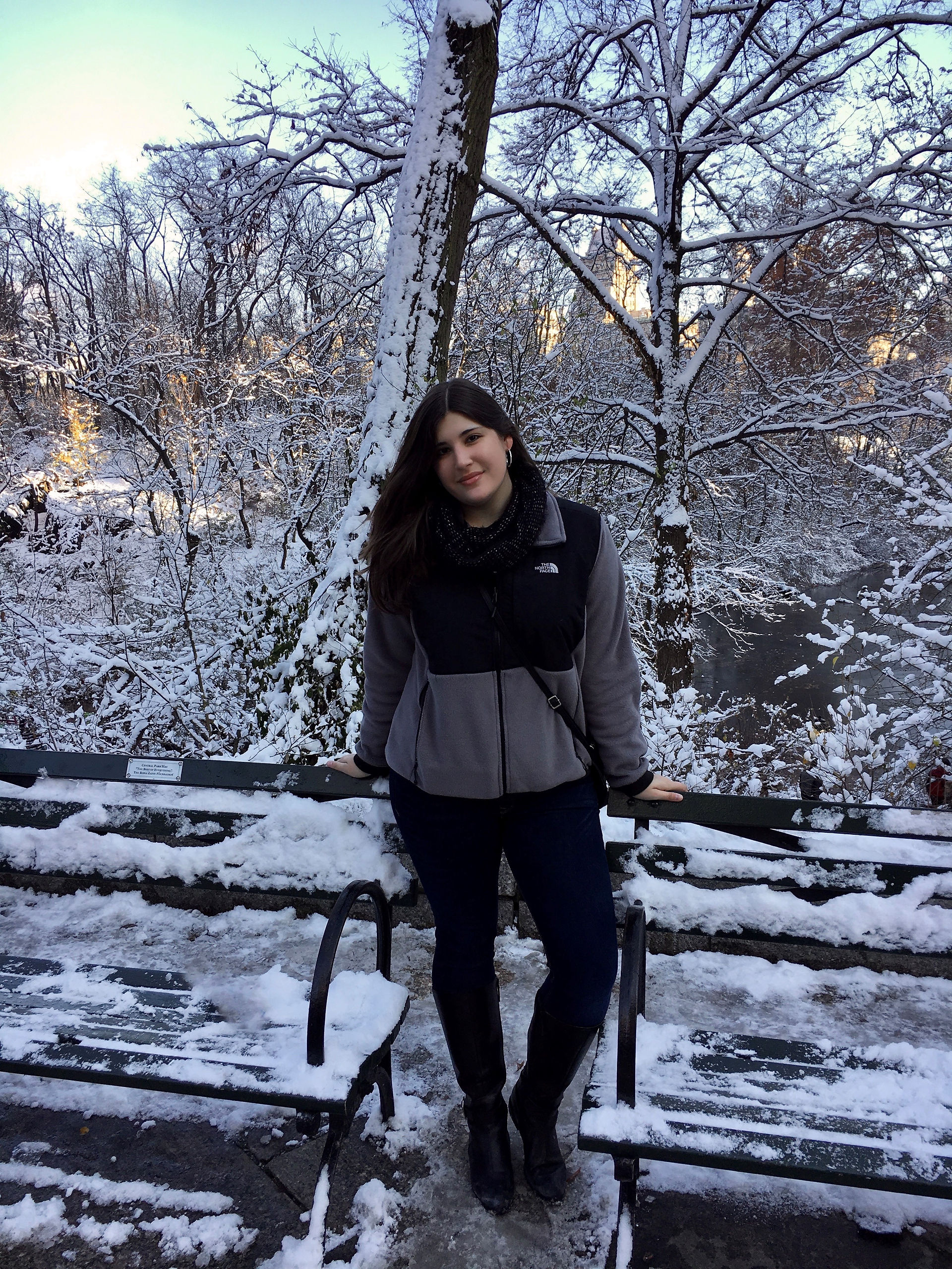 Snowy Central Park