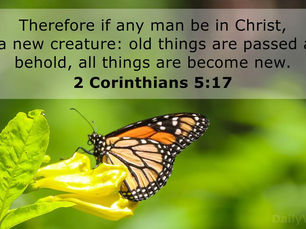 God’s Grand Plan, Part IV - Renewal!