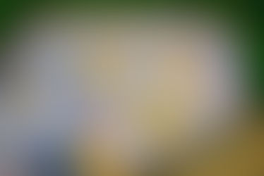 Brentwood Karting AllStar Cup Final