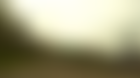 The Karting Classroom - Let's Discuss Penalties