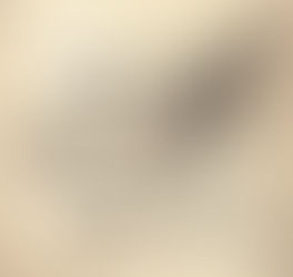 Què és la mascota del Freyburg?