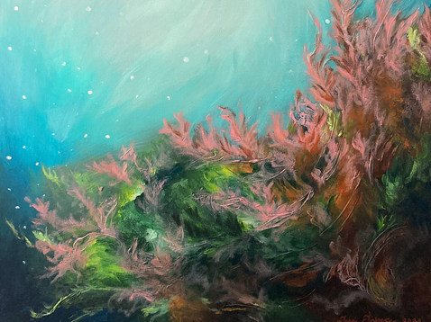 Underwater Secrets