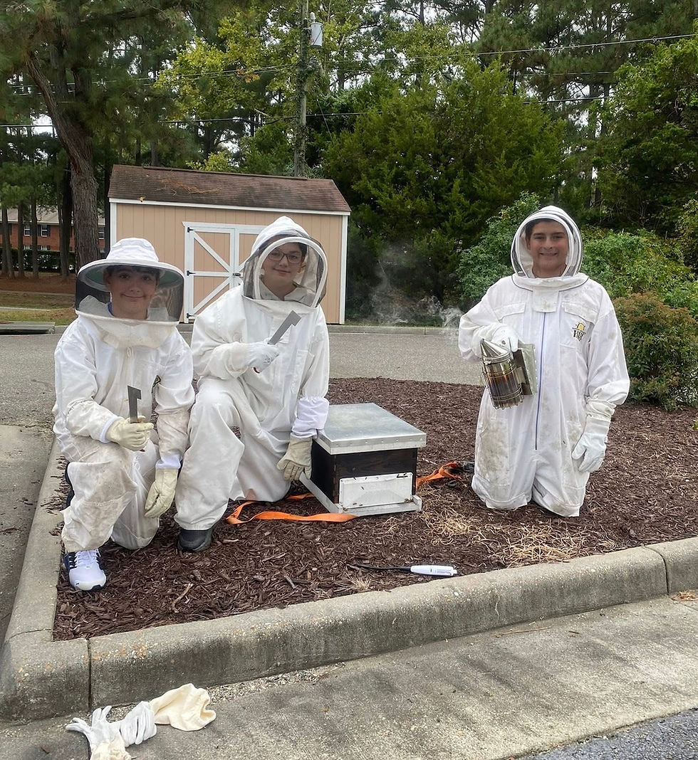 Beekeeping