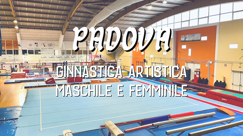 Progetto senza titolo (1).png