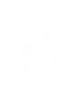 coquillage.png