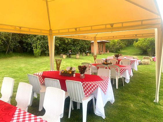 fa0b9dd9-9334-4321-8646-029dc18919e4 - Editado_edited.jpg