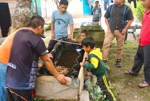 Lombricomposta comunitaria