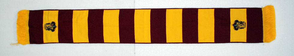 Küçük resim: Harry Potter Gryffindor Atkısı Dumbledore