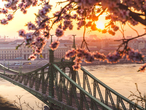 יורו וייז | המדריך השלם לזכאות לאזרחות הונגרית – כל מה שחשוב לדעת