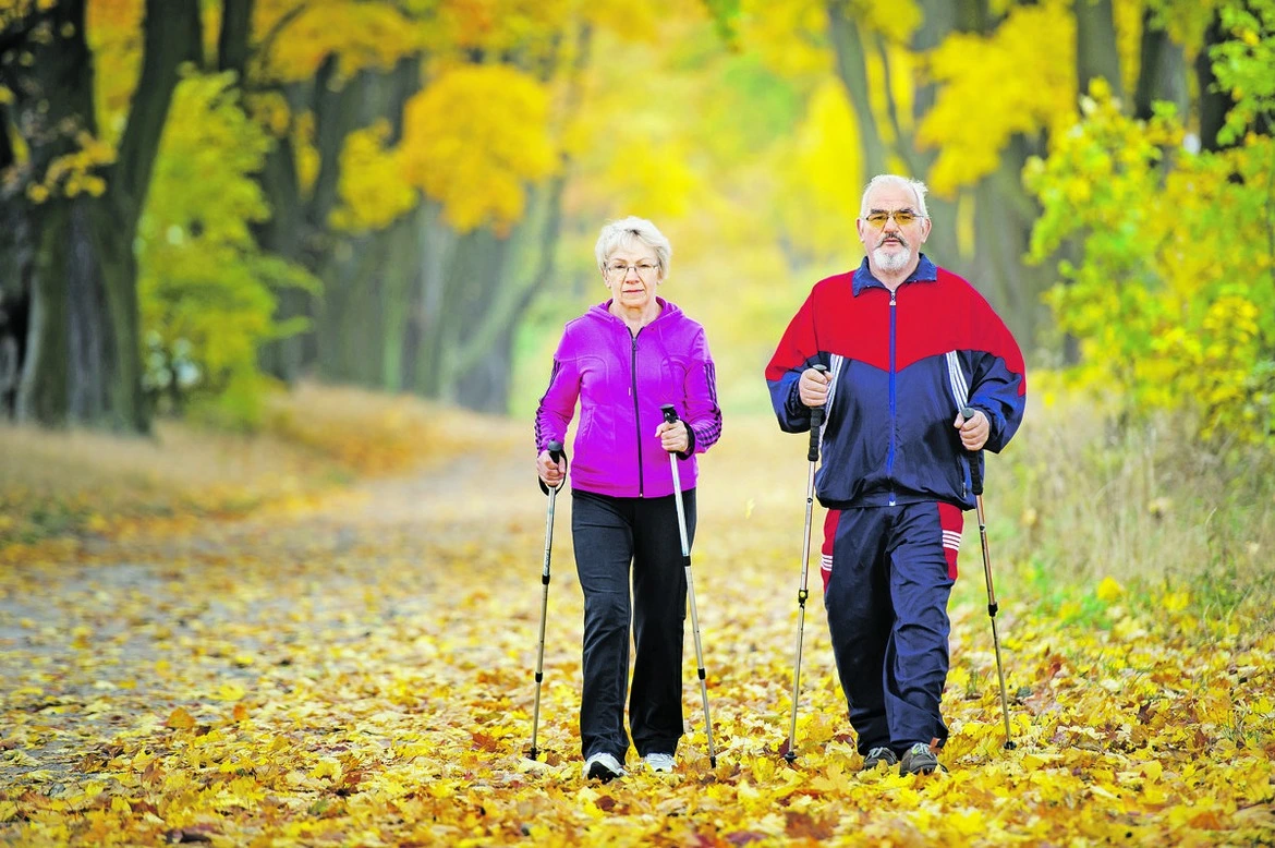 Deux seniors, un homme et une femme, vêtus de vêtements chauds, marchent ensemble en pleine nature, enveloppés dans l'atmosphère automnale. Ils portent chacun une canne pour les soutenir dans leur promenade tranquille. Le paysage qui les entoure est tout simplement magique, avec des arbres majestueux aux feuilles jaunies de l'automne qui tombent doucement.