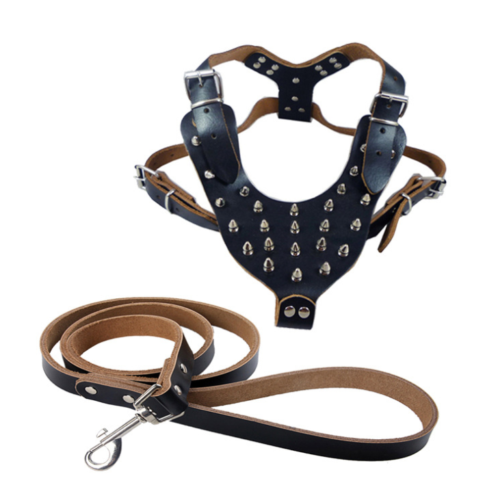 The benefits of a harness to prevent tracheal collapse