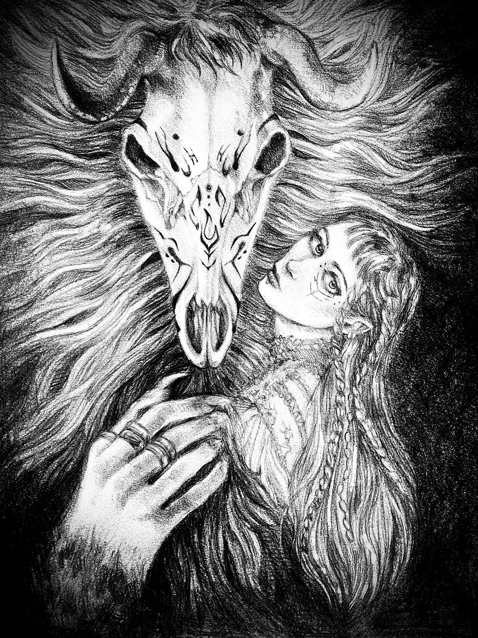 ILLUSTRATIONS