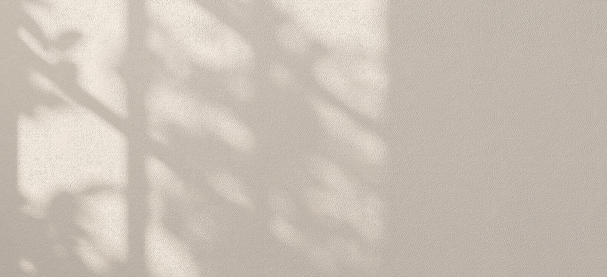 AdobeStock_539886432_resized_edited.png