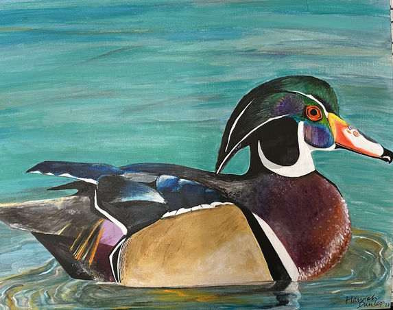 Wood Duck- Acrylic on Canvas Board. 2023