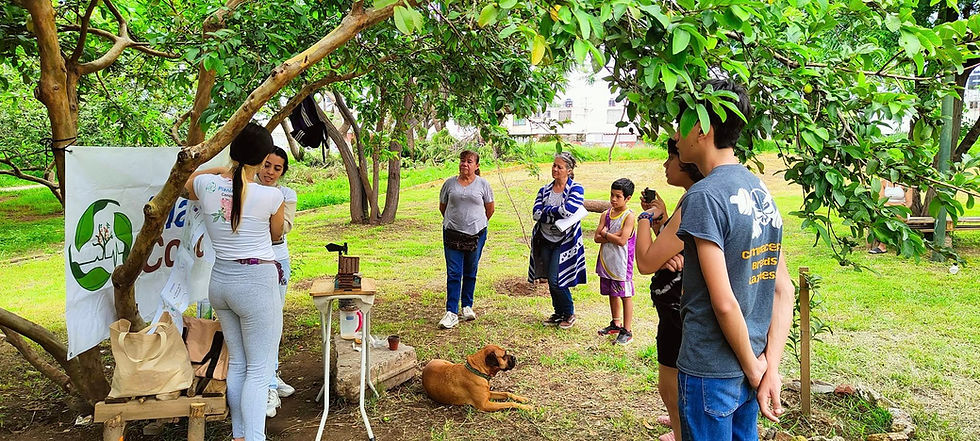 Activacion ambiental