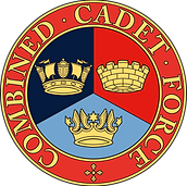 ccf_flat.png