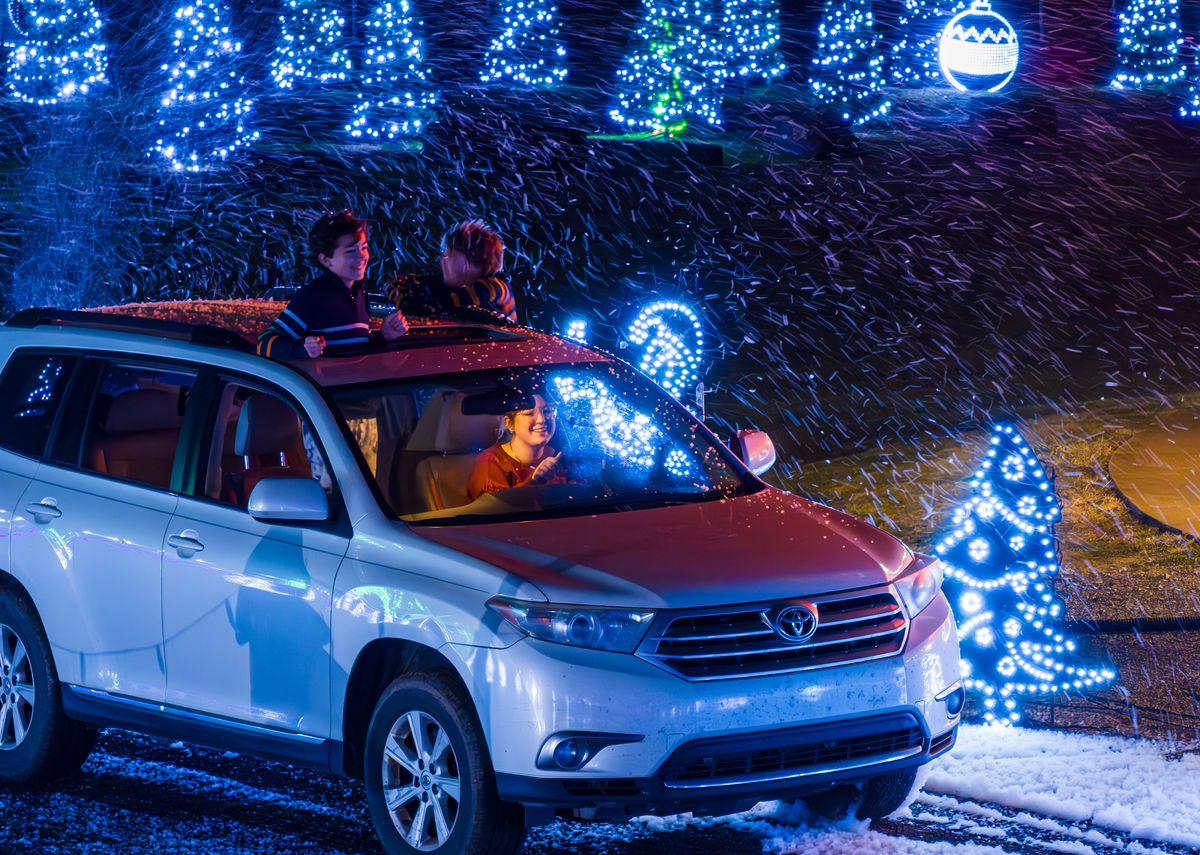 Jolly Lane Lights