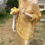 Thumbnail: Gracetina hoo French style loose hollow top (ZA3097)