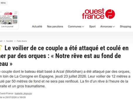 Le voilier de ce couple a été attaqué et coulé en mer par des orques : « Notre rêve est au fond de l’eau »