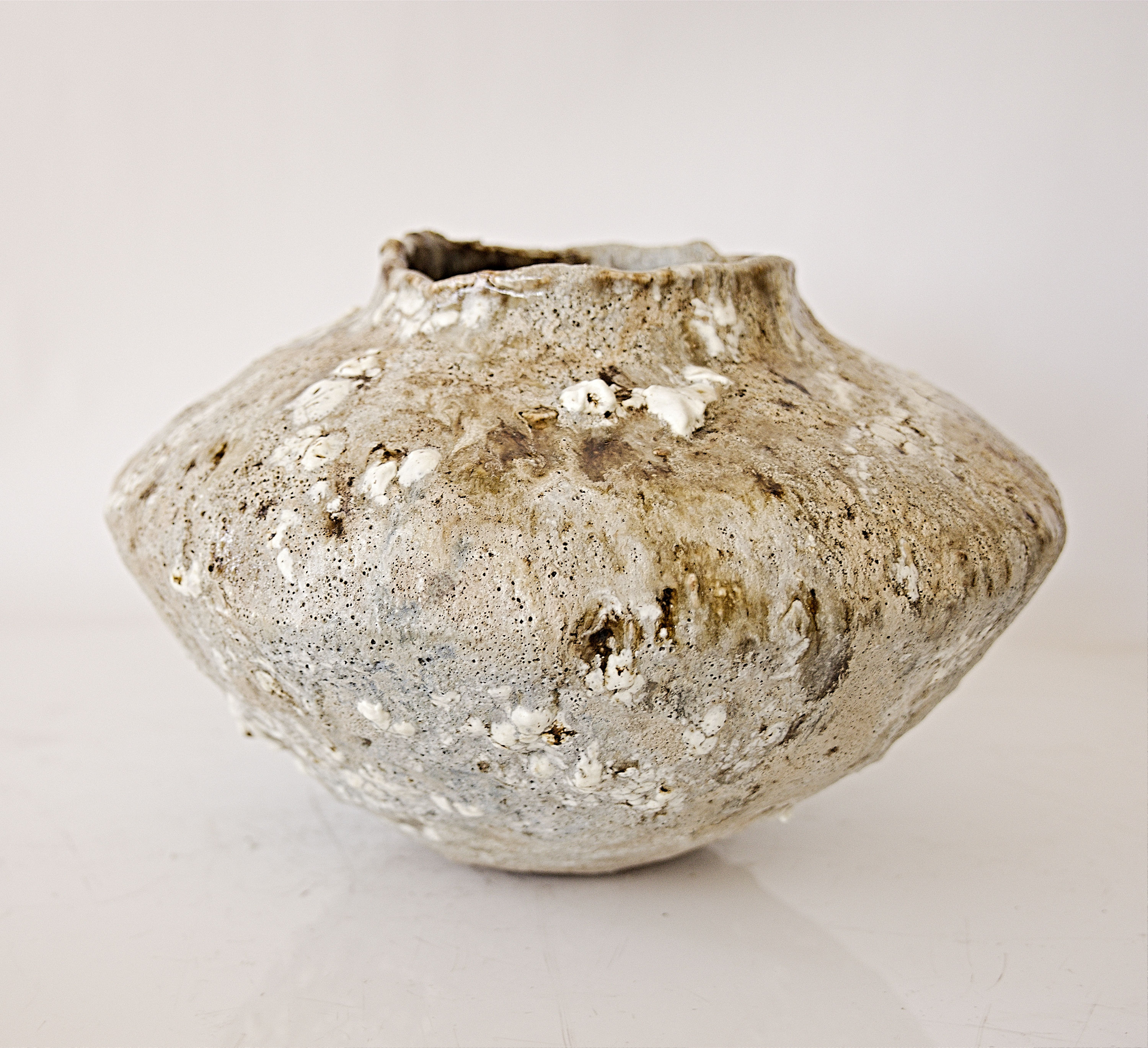 Small Orbicella Low Vase