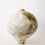 Thumbnail: Warm White  Moon Vase I