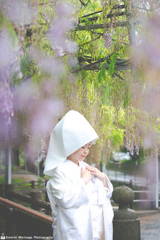 中山の大藤 柳川 藤の花 花嫁船 福岡結婚写真 wisteria 結婚写真 結婚撮影 出張撮影 前撮りロケーションフォト ブライダルカメラマン 森永健一