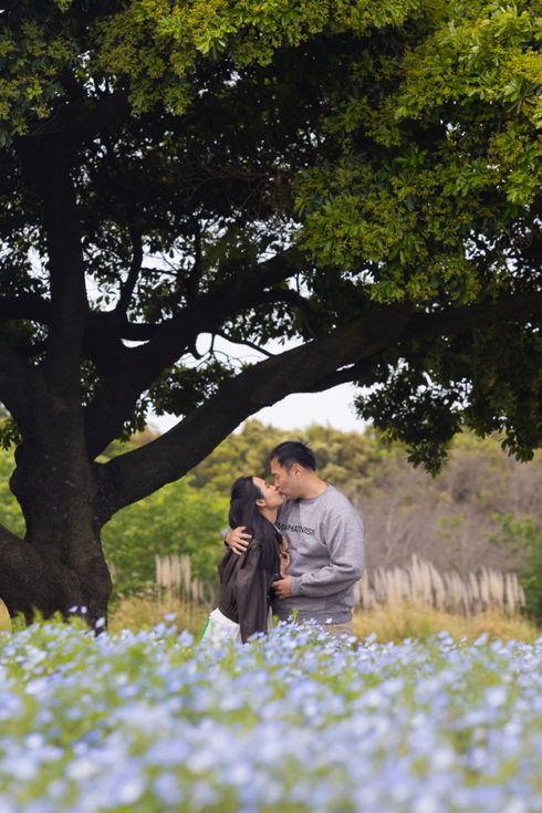 Uminonakamichi seaside park Nemophila in Fukuoka.Fukuoka pre-wedding photo.
