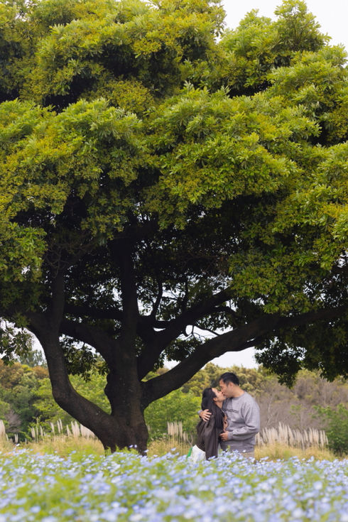 Uminonakamichi seaside park Nemophila in Fukuoka.Fukuoka pre-wedding photo.