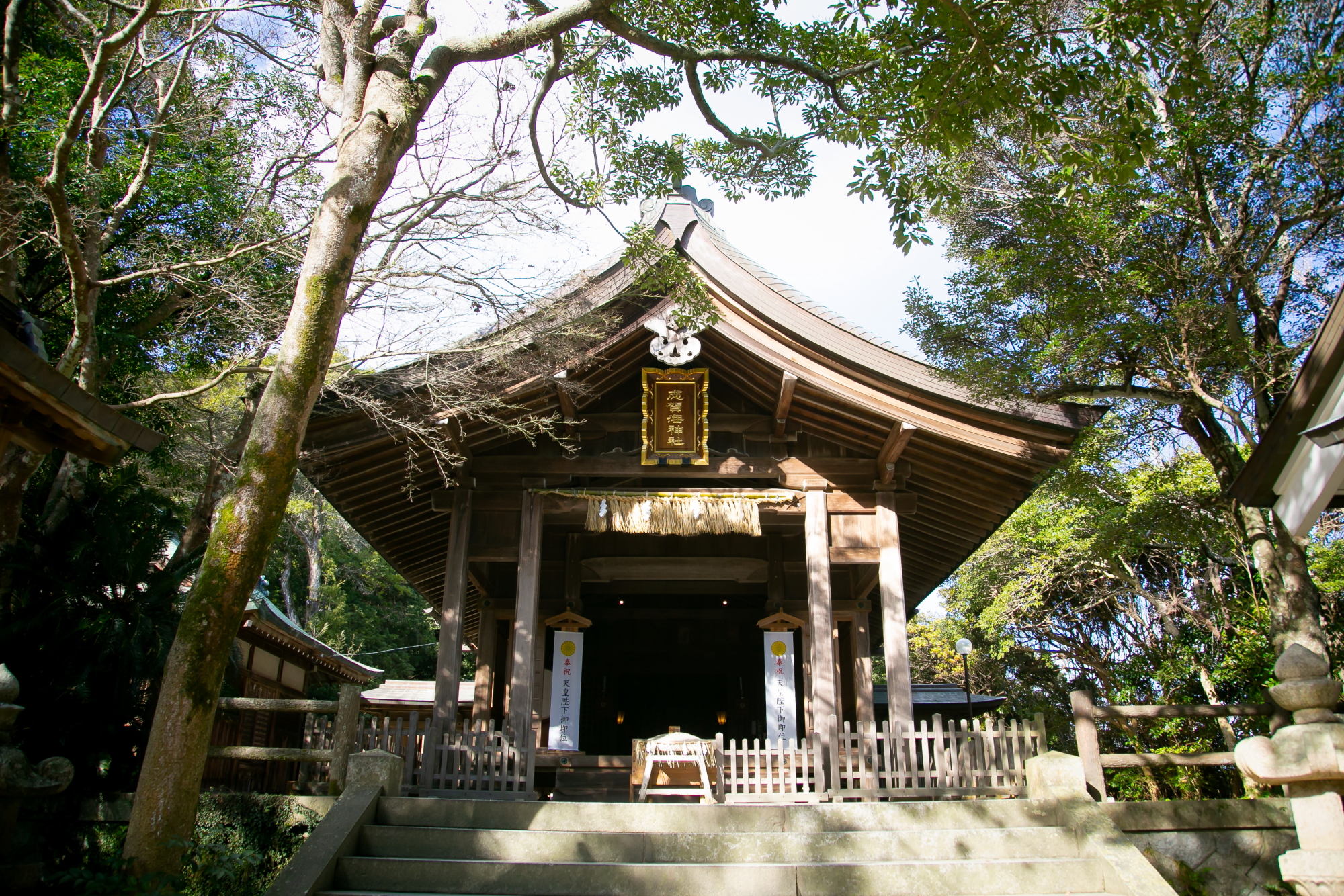 Shinto shrine wedding in Fukuoka. pre-wedding photo in Fukuoka. At Shikaumi shrine with kimono.