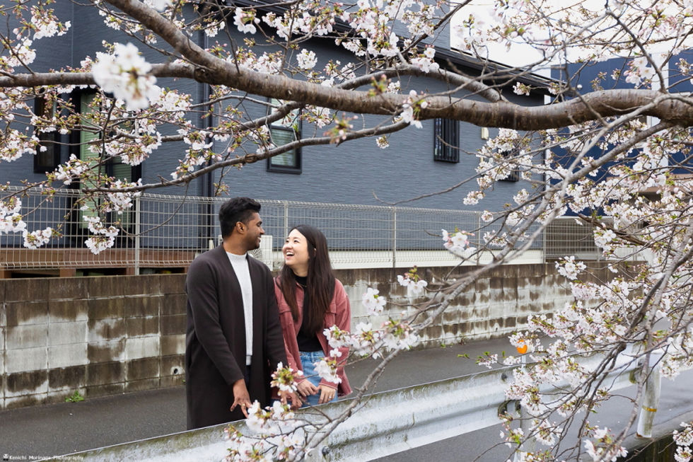 Sakura surprise proposal in Fukuoka.Pre-wedding photo in Fukuoka.