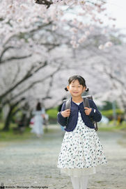 小学校入学 家族写真福岡 森永健一 出張撮影 舞鶴公園 桜