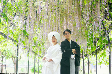 中山の大藤 柳川 藤の花 花嫁船 福岡結婚写真 wisteria 結婚写真 結婚撮影 出張撮影 前撮りロケーションフォト ブライダルカメラマン 森永健一