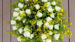 El  atardecer de las flores