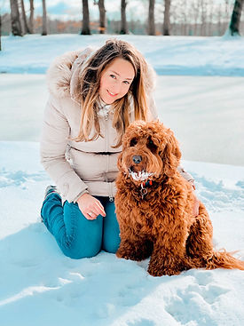 Labradoodle trimsalon