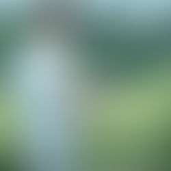 Day 21 & 22: Rain and Long Walks