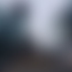 Day 70: More Jin Cafes...