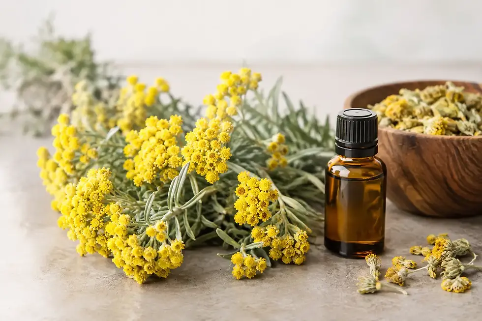 What Is Palestinian Helichrysum Used For?