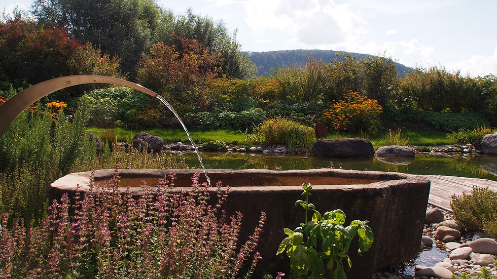 Modern gestalteter Naturgarten mit Wasserbecken, Brunnenbogen, Teich, Natursteinen und blühender Bepflanzung im Hintergrund.