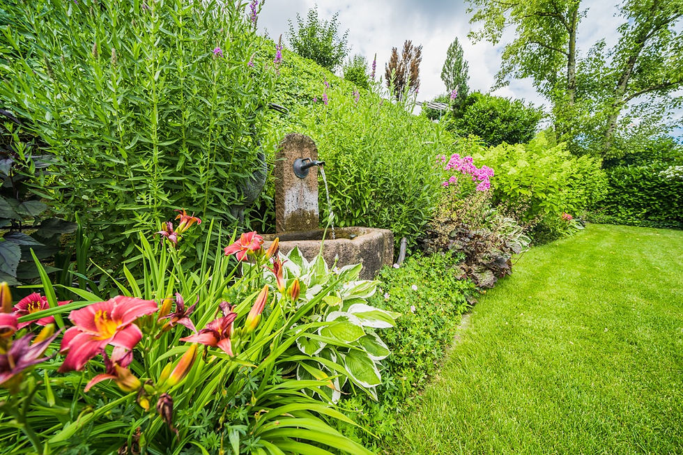 Gepflegter Garten mit steinernem Brunnen, blühenden Pflanzen und dichter grüner Bepflanzung.