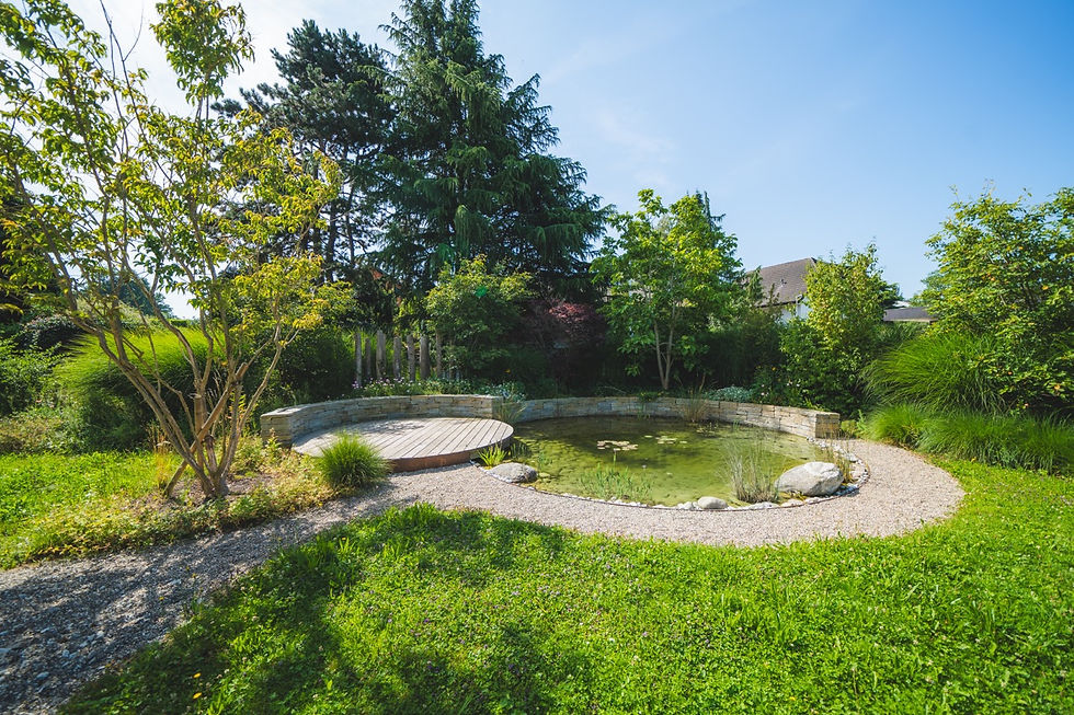Naturnaher Gartenbau mit rundem Holzdeck, kleinem Teich, Kiesweg und dichter grüner Bepflanzung.
