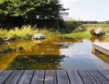 Naturnaher Gartenteich mit Holzdeck, Steinen und bepflanztem Uferbereich.