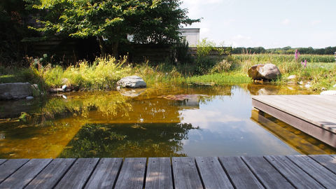 Naturnaher Gartenteich mit Holzdeck, Steinen und bepflanztem Uferbereich.