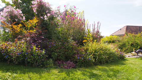 Dicht bepflanztes Blumen- und Staudenbeet mit verschiedenen Farben und Strukturen im Garten.