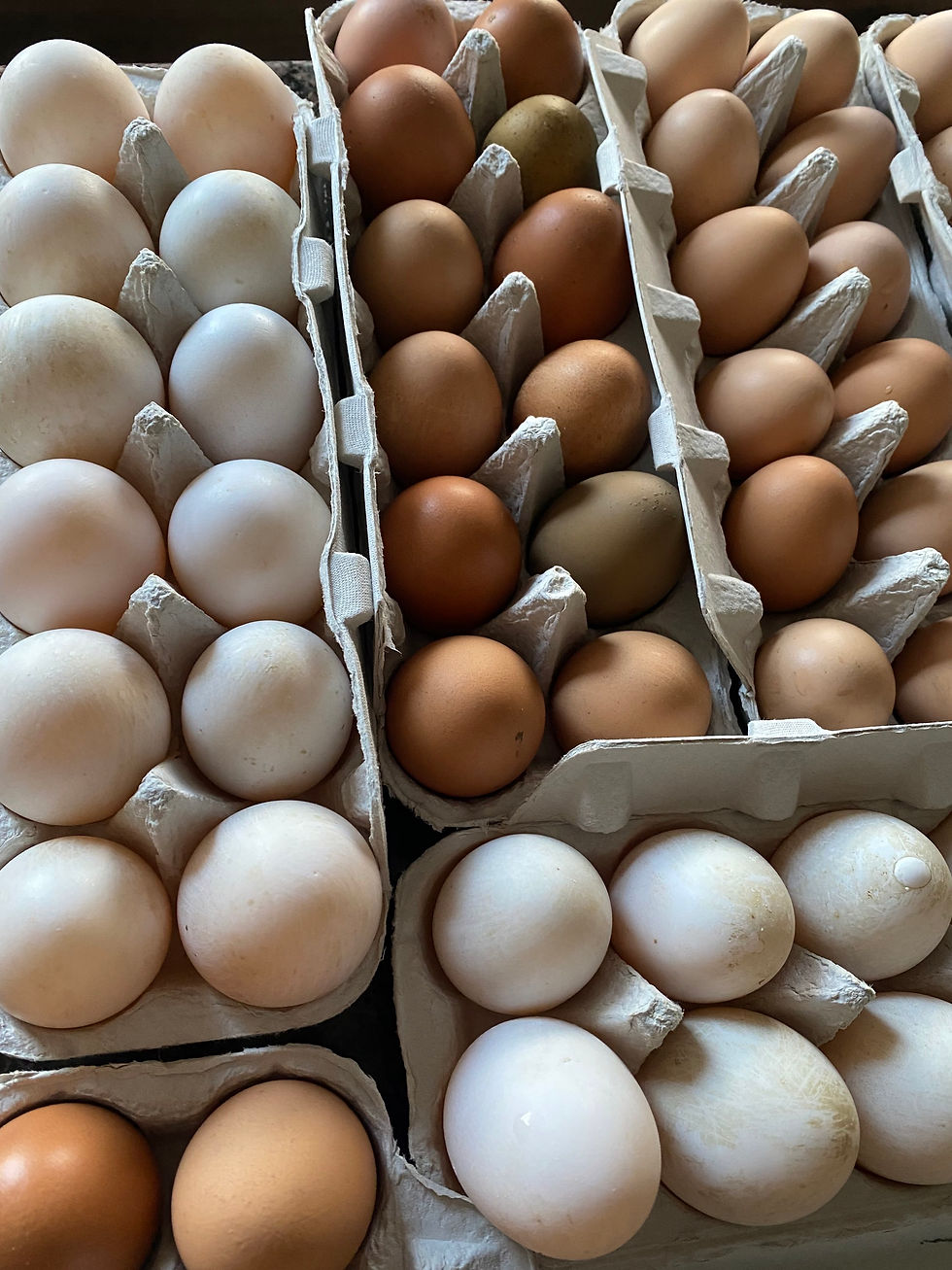 Thumbnail: Pasture Raised Eggs - Duck & Chicken