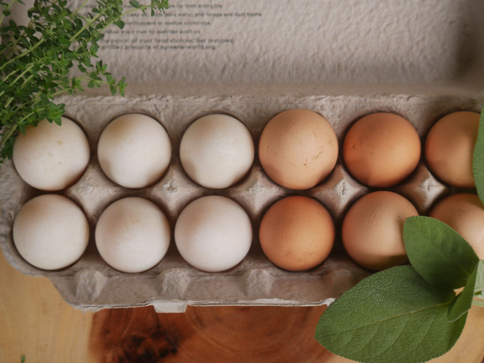 Thumbnail: Pasture Raised Eggs - Duck & Chicken
