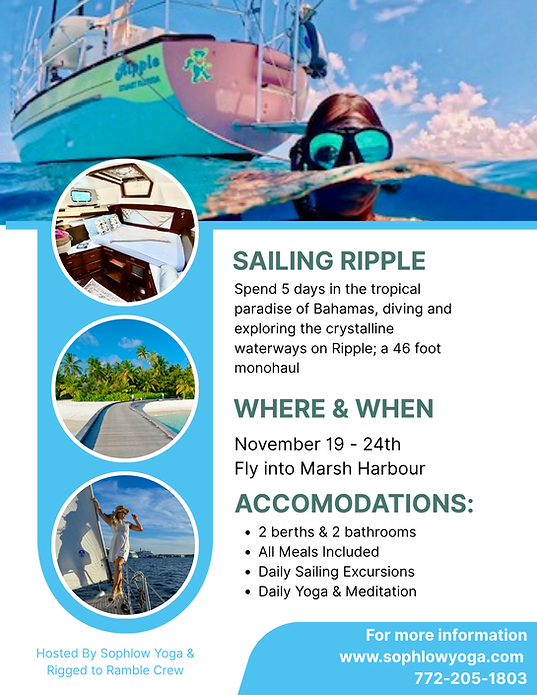 Brown and Teal Modern Hotel Promotion Flyer (1).png